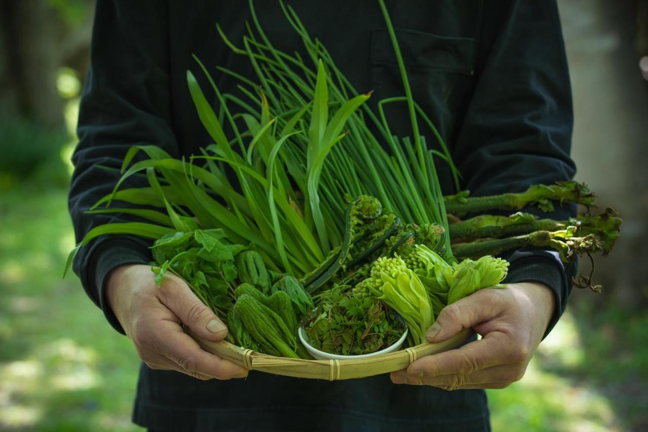 Shiroyamakan Shirakawa  Luaran gambar